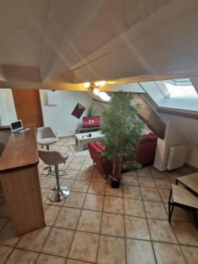 Appartement cozy avec mezzanine